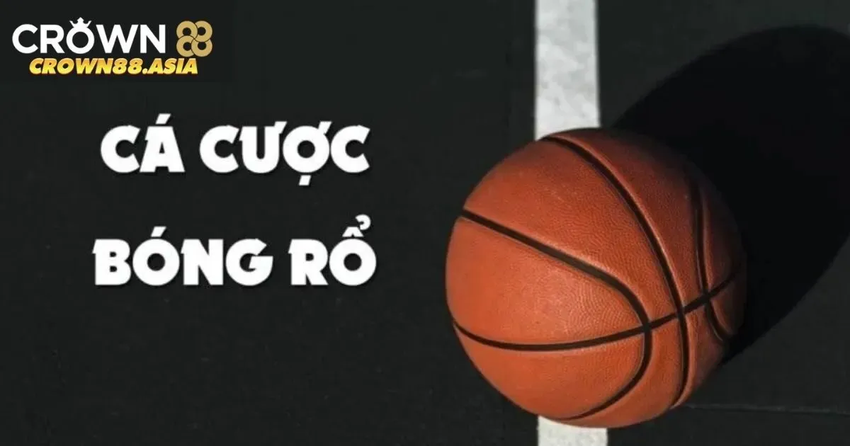 Bỏ túi tips bắt kèo siêu đơn giản cho hội viên